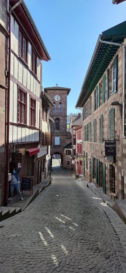 Gîte ULTREIA Vertes Montagnes Saint-Jean-Pied-de-Port Extérieur photo